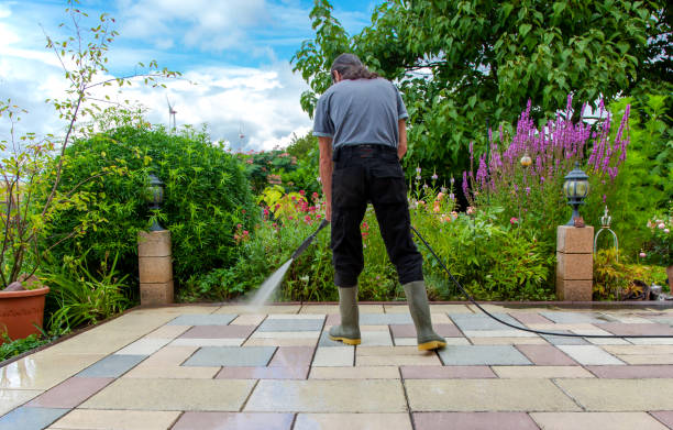 Professional Pressure Washing Services in Woodland Heights, PA