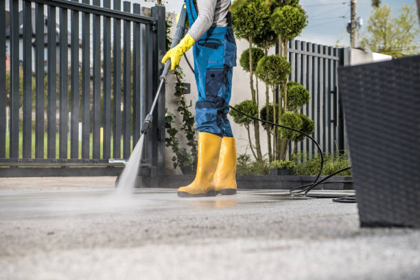 Best Building Exterior Pressure Washing in Woodland Heights, PA